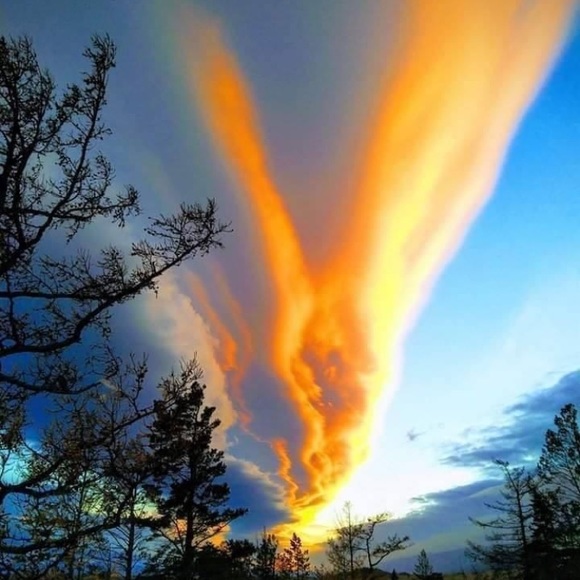 Meet your Posher, Elizabeth - Picture 1 of 2